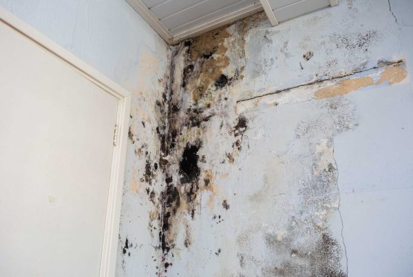 The Moisture-Mould and Mildew Connection: How Basement Waterproofing Protects Your Family’s Health - Concrete Master
