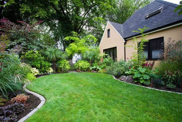What Is the Difference Between Landscaping and Hardscaping?