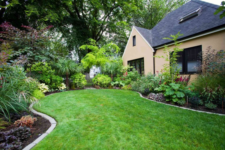 What Is the Difference Between Landscaping and Hardscaping?