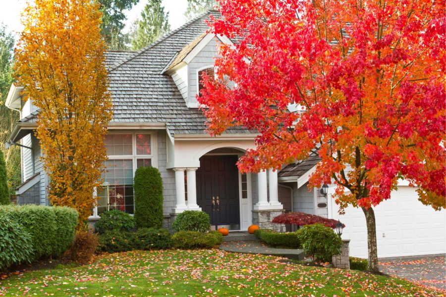 Understanding the Impact of Seasonal Changes on Your Foundation