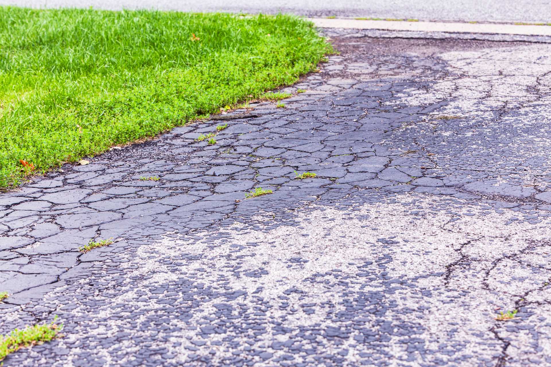 Water Damage on Concrete Driveways: How to Prevent It Before It Starts