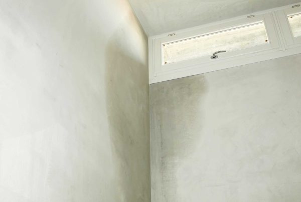 Hidden Hazard: How Ignoring Basement Dampness Risks Your Health, Your Structure, and Your Wallet - Concrete Master