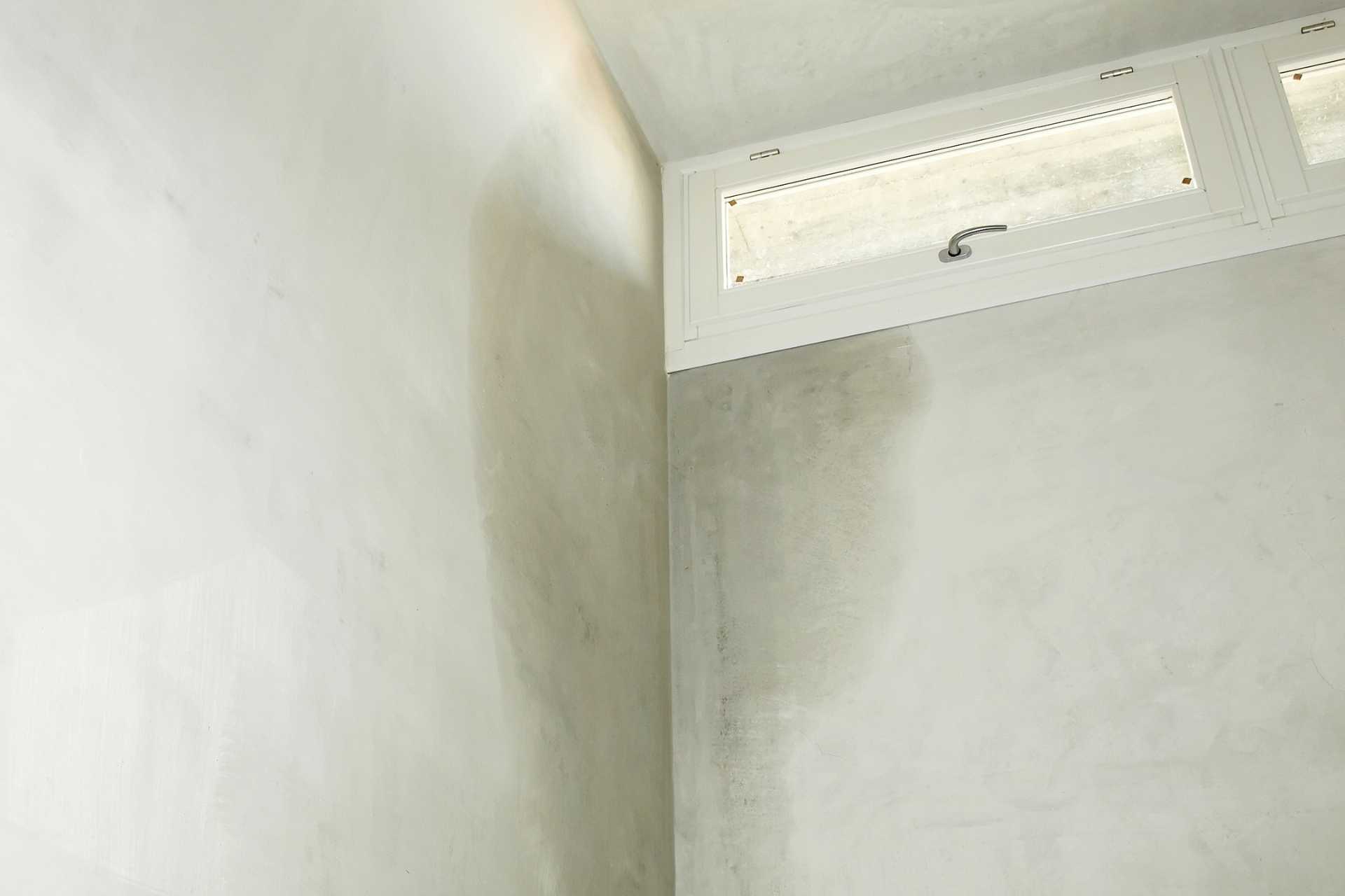 Hidden Hazard: How Ignoring Basement Dampness Risks Your Health, Your Structure, and Your Wallet