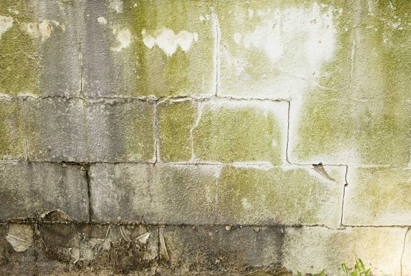 Foundation Fractures: Why Stair-Step Cracks Demand Structural Underpinning - Concrete Master