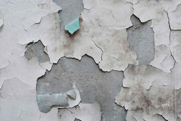 Peeling Basement Paint: Warning Signs, Moisture Science, and Permanent Fixes - Concrete Master